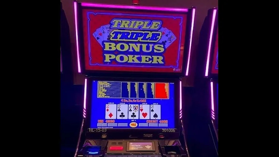 Live Casino Dealer
