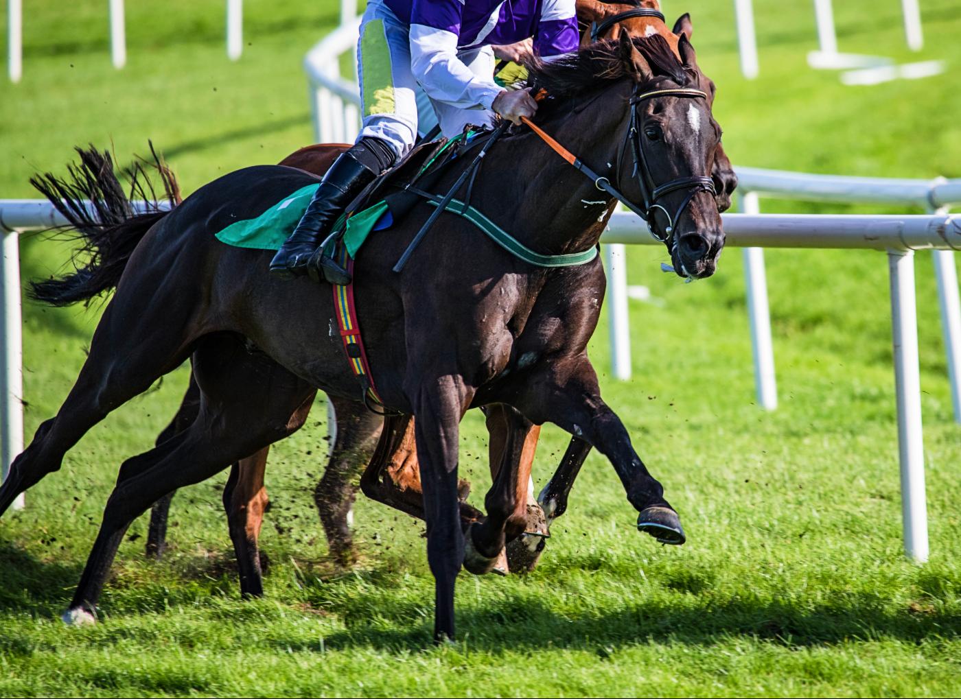 Horse Racing Philippines