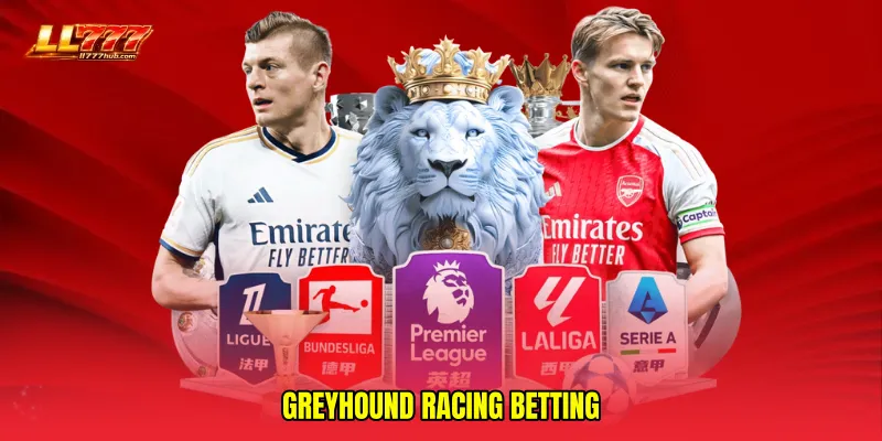 Greyhound racing betting